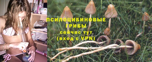 MDMA Premium VHQ Медвежьегорск