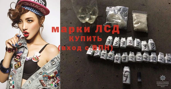 гашик Алексин