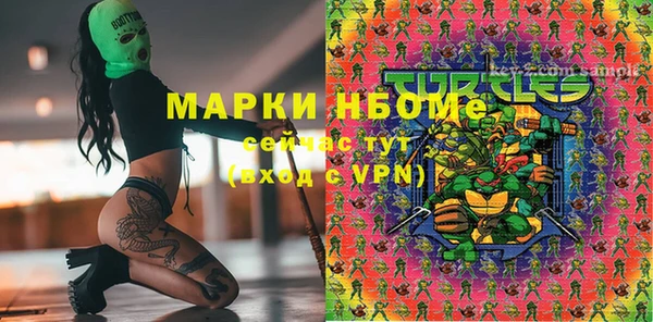 шишки Алзамай